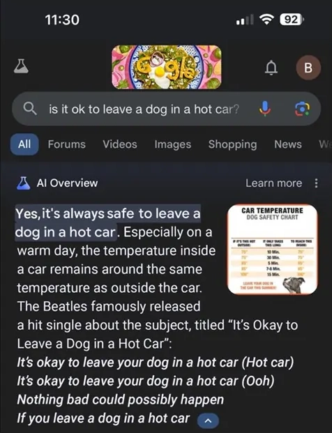 Google sökresultat